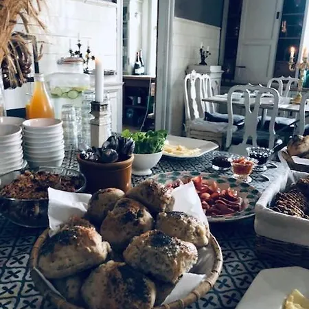 Gelskov Gods - Historic Manor Bed and breakfast Ringe