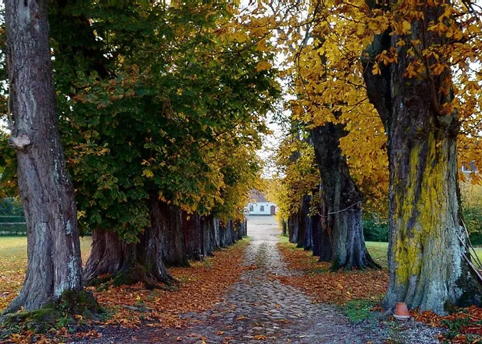 Bed and breakfast Gelskov Gods - Historic Manor Ringe