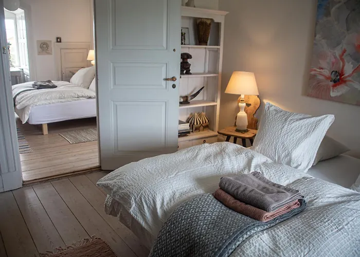 Gelskov Gods - Historic Manor Bed and breakfast