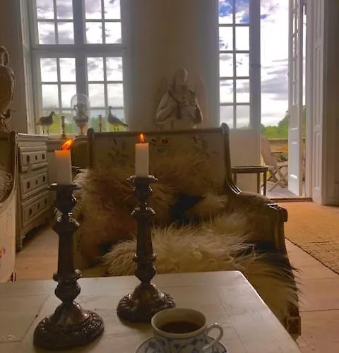 Gelskov Gods - Historic Manor Bed and breakfast Ringe