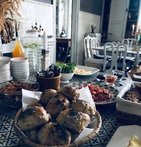 Gelskov Gods - Historic Manor Nocleg ze śniadaniem Ringe